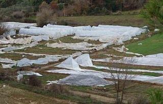 Antalya’daki hortum anı kamerada: Konteynerler...