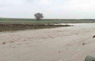 Araban Ovası’nda sağanak etkili oldu