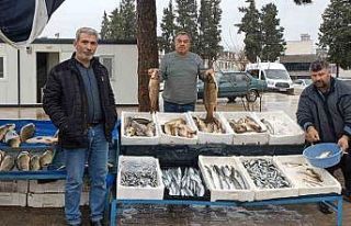 Araban’da soğuk hava balığa talebi artırdı