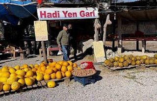 "Araştırmacı kavuncu dede" ata tohumlarını...