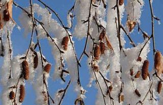 Ardahan’da Sibirya soğukları devam ediyor