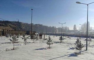 Ardahan’da Sibirya soğukları hayatı olumsuz etkiliyor