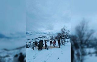 Arıcak’ta yaban hayvanları unutulmadı