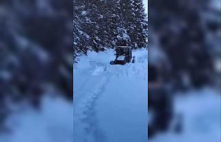 Artvin’de kar nedeniyle 130 köy yolunda ulaşım...