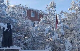 Aşkale’de dondurucu soğuklar hayatı felç etti