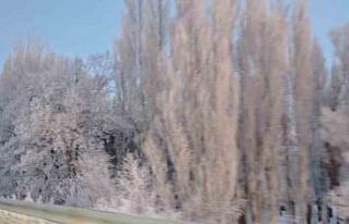 Aşkale’de Sibirya soğukları: Termometreler -30’u...