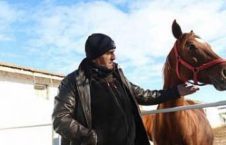 At yetiştiriciliğinin kış zorlukları