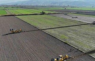 Aydın’da ürünlerin verimliliği artacak