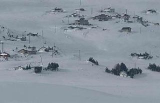 Aydıntepe Yaylası Kış Festivali programı belli...