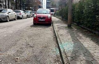 Aynı sokak üzerinden beş aracın camlarını kırıp...