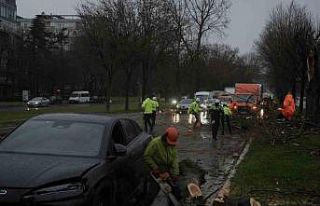 Bakırköy sahil yolunda Fırtına kabusu
