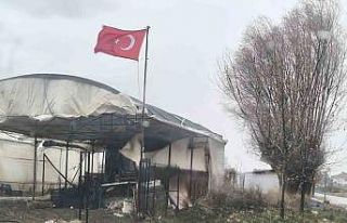 Balkondan düşen saksı az kalsın faciaya neden...