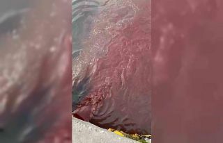 Bandırma’da deniz yüzeyi kırmızıya döndü
