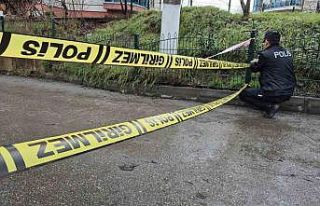 Bartın Irmağı taştı