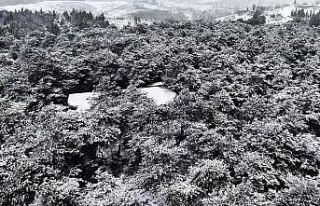 Başakşehir Şamlar Tabiat Parkı beyaza büründü