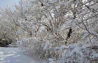 Batman’da kar manzaraları