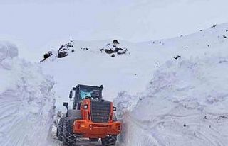 Batman’da karla mücadele çalışmaları