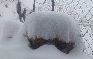 Batman’da son 20 yılın en sert kışında ekiplerin...