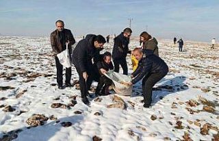 Batman’da yaban hayvanları için doğaya yem bırakıldı