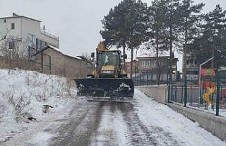 Battalgazi Belediyesi’nden okul bahçelerinde kar...