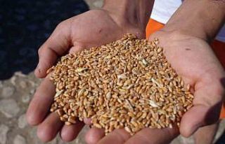 Bayburt’ta 2 bin 570 işletmeye 67 bin 294 çuval...