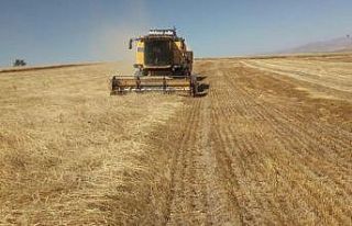 Bayburt’ta besici ve yetiştiricilere yemlik arpa...