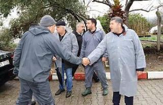 Bayındır Nergis ve Kuru Çiçek Festivali iptal...