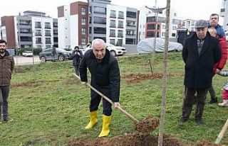 Belediye Başkanından yeşil alan talebine hızlı...