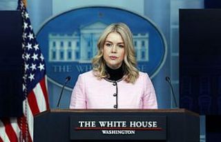 Beyaz Saray Sözcüsü Leavitt: "(Rus bandıralı...