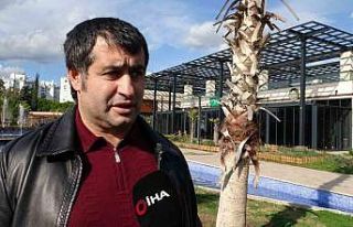 Bıçaklı saldırıya uğrayan Azerbaycan Muaythai...