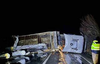 Bilecik’te direksiyon hakimiyetini kaybeden tır...