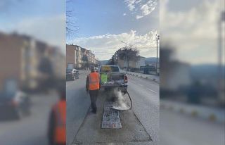 Bilecik’te haşerelere karşı kışlık mücadele