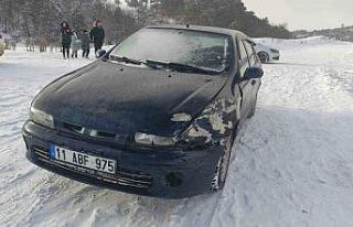 Bilecik’te kontrolden çıkan otomobil kazaya sebep...