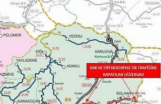 Bingöl-Muş karayolu tır trafiğine kapatıldı