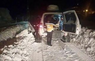 Bingöl’de yolda kalan paletli ambulansı ekipler...