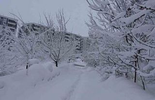 Bitlis’te kar esareti, 229 köy yolu ulaşıma kapalı