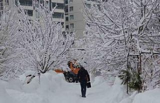 Bitlis’te kar yağışı yeniden etkili oldu