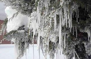 Bitlis’te karla mücadeleye rekor yakıt harcaması