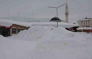 Bitlis’te kış şartları ağırlaşıyor, 124...