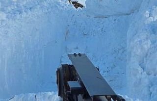 Bitlis’te köy yolları tek tek açılıyor