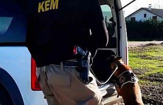 Bolu’da 14 adrese uyuşturucu operasyonu: 3 tutuklama