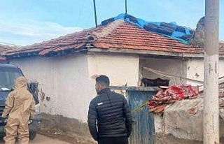 Boyaya eklenen katkı maddesi felakete yol açtı:...