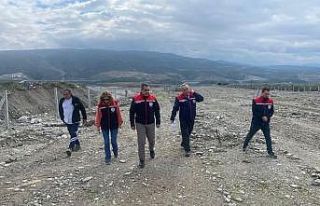 Buharkent ilek bahçesinde hazırlıklar sürüyor