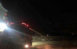 Burdur’da sazlık alanda yangın