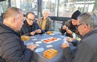 Burhaniye’de Briç Federasyon Turnuvası düzenlendi