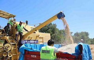 Bursa Büyükşehir, üreticiye nefes oluyor