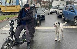 Çarşı pazar peşinden ayrılmıyor