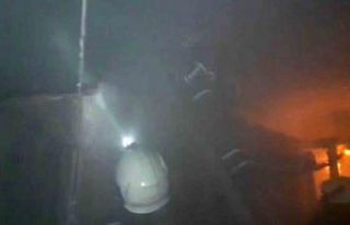 Çatı katındaki odunlukta çıkan yangında 40 güvercin...