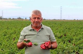 Çiftçilerden çağrı: "Üretim maliyetleri...