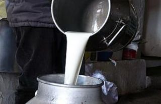 Çiğ süt fiyatları belli oldu